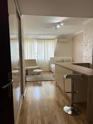 a room with a kitchen and a living room at Apartment Marina in Arandjelovac