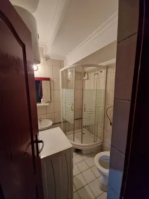 a bathroom with a shower and a toilet and a sink at Apartment Marina in Arandjelovac