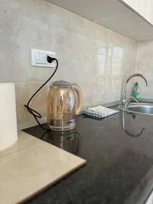 Gallery image of Surčin Apartment in Ledine