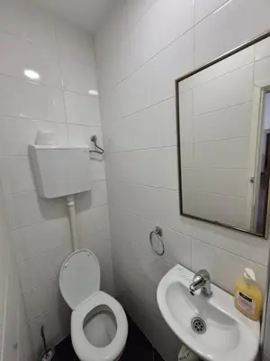 a bathroom with a toilet and a sink and a mirror at Authentic Belgrade Centre Apartment #2, Four Bedrooms, One full Bathroom, One Toilet in Belgrade