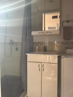 a bathroom with a sink and a shower at Bella Vita Apartment in Belgrade