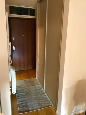 a hallway with a glass door and a carpet at Apartment Maximus lux in Belgrade