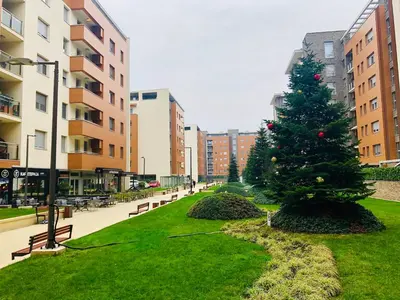 a christmas tree in a park next to buildings at Apartment Maximus lux in Belgrade