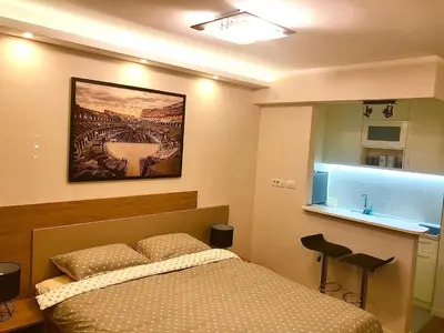 a bedroom with a bed and a painting on the wall at Apartment Maximus lux in Belgrade