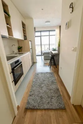 a kitchen and living room with a rug on the floor at Belgrade Waterfront GREEN Apartment in Belgrade