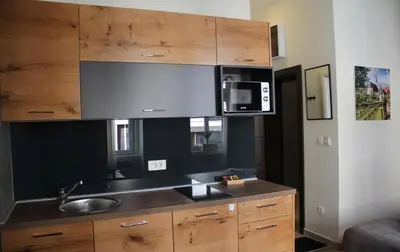 a kitchen with a sink and a microwave at Urban Lodge Belgrade in Belgrade