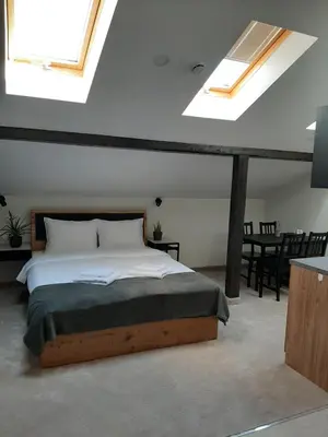 a bedroom with a bed and two skylights at Urban Lodge Belgrade in Belgrade