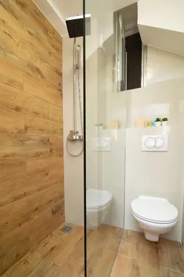 a bathroom with a toilet and a shower at Vracar Vuk 2 in Belgrade