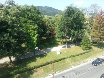 a street light on the side of a road with trees at Park Srce Apartments in Arandjelovac