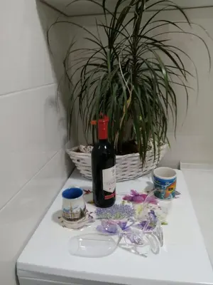 a bottle of wine sitting on a counter with a plant at Apartman Lux in Nova Pazova