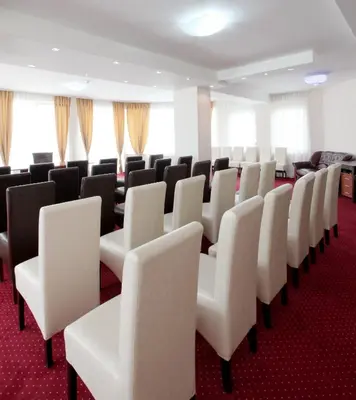 a row of chairs in a room with red carpet at Hotel Novella Uno in Novi Banovci