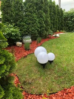 a garden with two white benches in the grass at Luxury Apartments 88 in Smederevo