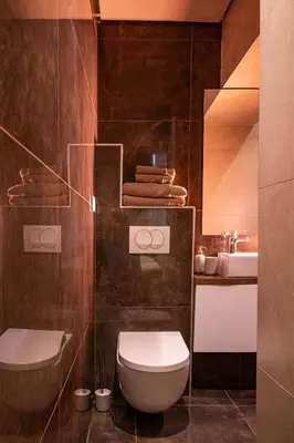 a bathroom with a toilet and a sink at VENUS Apartment with jacuzzi and sauna - City Center in Belgrade