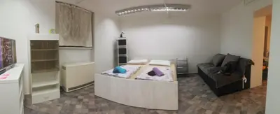 a small room with a bed and a couch at Apartman Pocerac in Belgrade