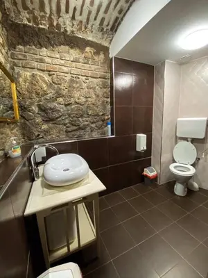 a bathroom with a sink and a toilet in it at Apartments HOUSE OF THE GREATS Skadarlija in Belgrade