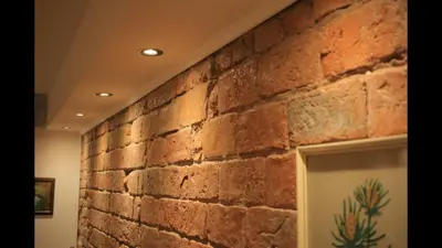 a brick wall next to a door with a cactus on it at Alexandar in Belgrade