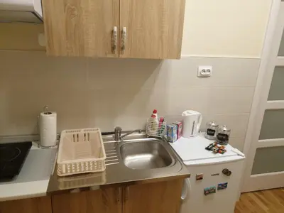 a kitchen sink with a dish drying rack next to it at Apartment Marija in Belgrade