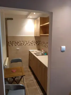 a small kitchen with a sink and a table at Alba Graeca in Belgrade