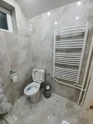 a small bathroom with a toilet and a shower at Apartman DoDoLu in Belgrade