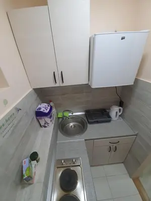 a small kitchen with a sink and a sink at Apartman DoDoLu in Belgrade