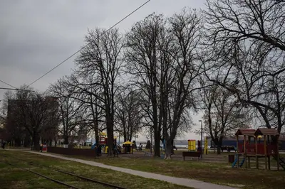 a park with trees and a playground with at Dunavski Kej in Smederevo