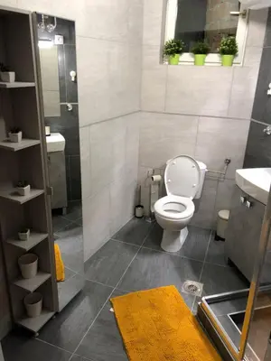 a bathroom with a toilet and a shower and a sink at Apartman Ana in Dušanovac (historical)