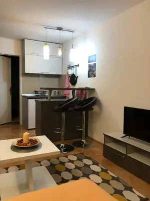 a living room with a table and a kitchen at Apartman Ana in Dušanovac (historical)