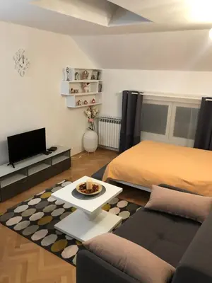 a living room with a bed and a coffee table at Apartman Ana in Dušanovac (historical)