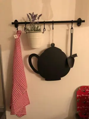 a black pot hanging on a wall with a plant at Apartman Ana in Dušanovac (historical)