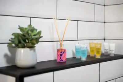 a shelf with different colored glasses and a potted plant at 7 Rooms Suites in Belgrade