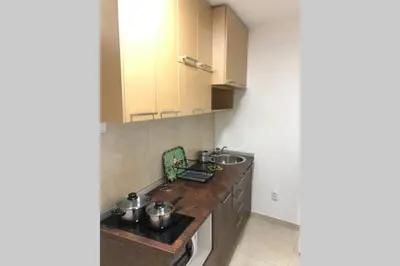 a kitchen with a sink and a counter top at Apartman Iva in Belgrade