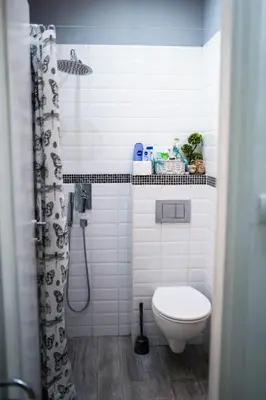 a white bathroom with a toilet and a shower at Apartment Tesla Wizard in Belgrade
