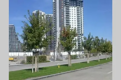 a street with trees in front of a tall building at Beograd Promenada Waterfront in Belgrade