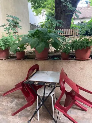 a table and two chairs next to a table and plants at Mosaic in Belgrade