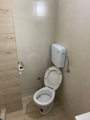 a bathroom with a white toilet in a stall at Simic Apartman in Arandjelovac