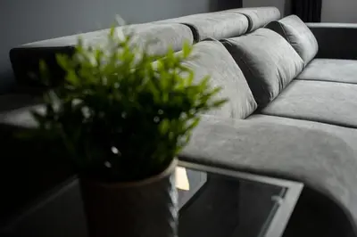 a vase with a plant sitting on a couch at HostGost Selected Suites - Botanical Garden in Belgrade