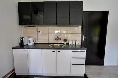 a kitchen with a sink and a black refrigerator at Apartman DORA in Arandjelovac