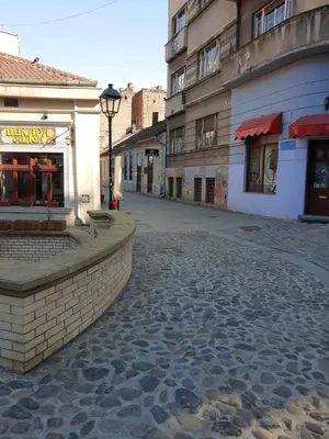 a cobblestone street in a city with a building at Apartment Africa in Belgrade