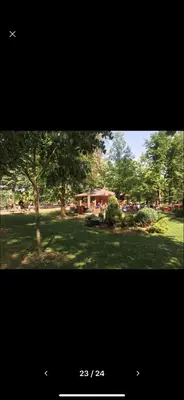 a picture of a park with a tree in the grass at Royal Residence Apartmani in Pančevo