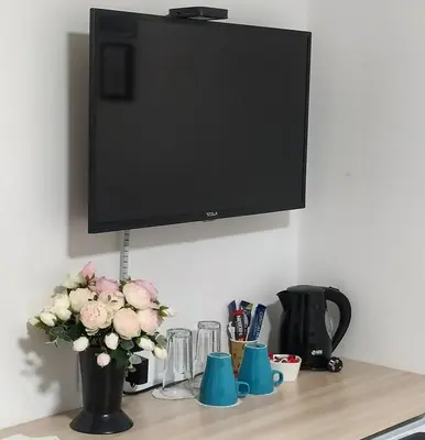 a flat screen tv on a shelf with a vase of flowers at Villa Ponte in Pančevo