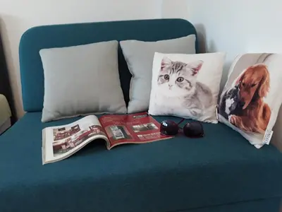 a magazine and a cat sitting on a couch with pillows at Studio 17 in Belgrade