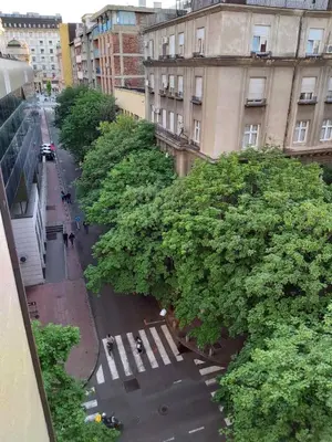 an overhead view of a city street with trees at Studio 17 in Belgrade