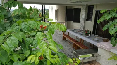a patio with a bunch of plants and benches at VILA PEKEČ in Mala Moštanica