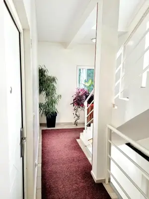 a hallway with red carpet and potted plants at Rooms Villa Luigi in Pančevo