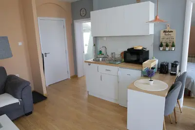 a kitchen with white cabinets and a counter top at Prenociste Dunav 97 K5 in Novi Banovci