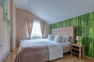 a bedroom with a large bed with a green wall at Prenociste Dunav 97 K6 in Novi Banovci