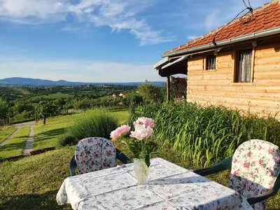 a table with a vase of flowers and two chairs at Vajat Orašac in Arandjelovac