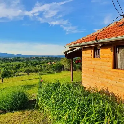Vajat Orašac