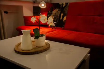 a table with a white vase and a plant on it at Sensational view - Zemun in Belgrade