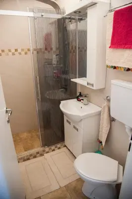 a bathroom with a shower and a toilet and a sink at Sensational view - Zemun in Belgrade